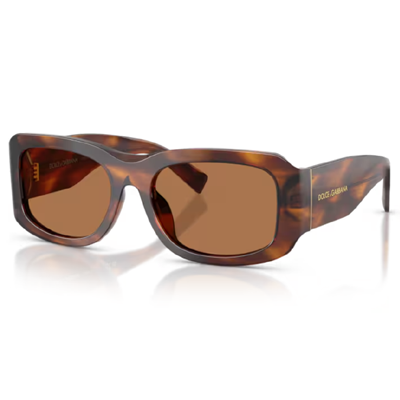Dolce & Gabbana DG4503 Sunglasses